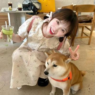 安然无恙